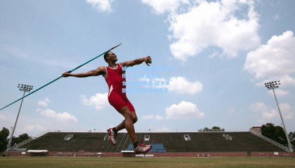壹号娱乐_威格曼与希拉尔德斯领衔 FIFA年度最佳女足教练候选 战术革新与时代传承成焦点