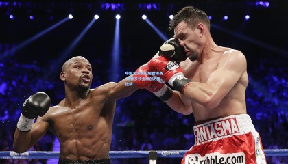 壹号娱乐app：中国游泳队闪耀世锦赛 斩获多枚金牌创历史佳绩