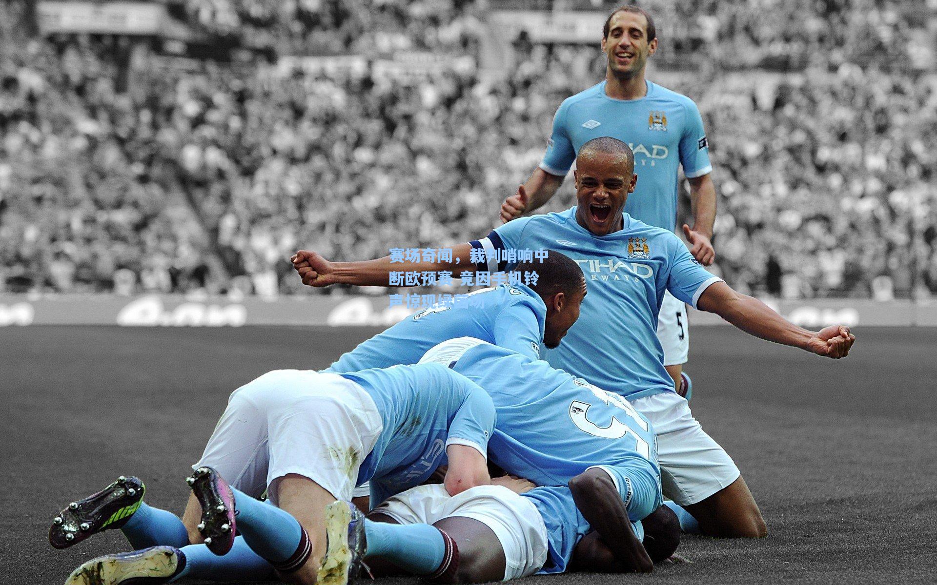 赛场奇闻，裁判哨响中断欧预赛 竟因手机铃声惊现绿茵场