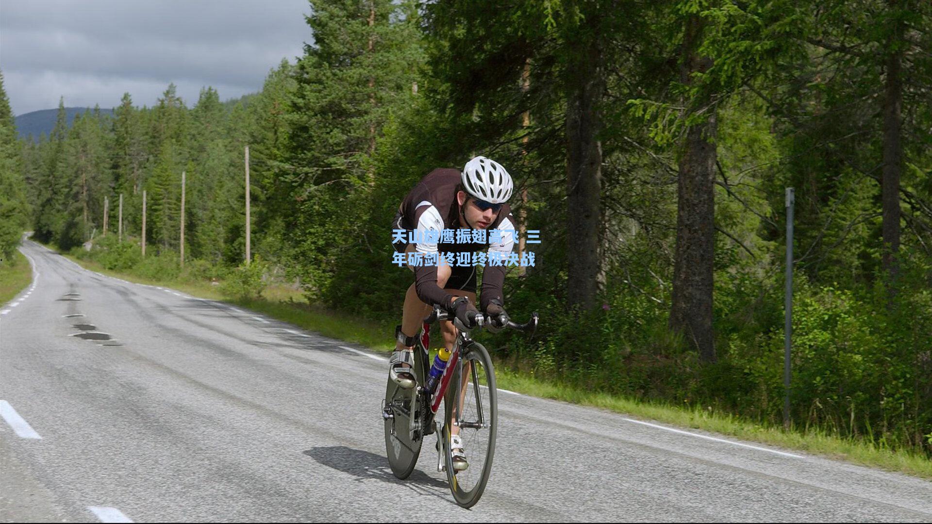 天山雄鹰振翅高飞 三年砺剑终迎终极决战